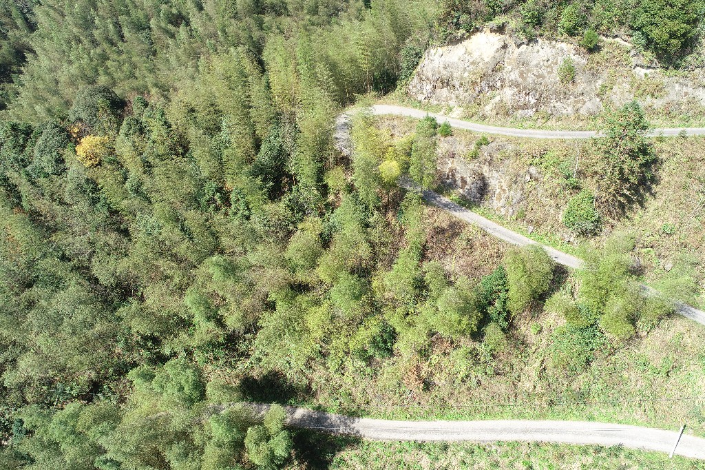 1584331723889667.jpg DJI_0013.jpg