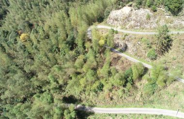 江西省推進(jìn)中醫(yī)藥產(chǎn)業(yè)發(fā)展