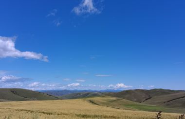 內(nèi)蒙古在推動畜牧業(yè)綠色高質(zhì)量發(fā)展上邁出堅實步伐