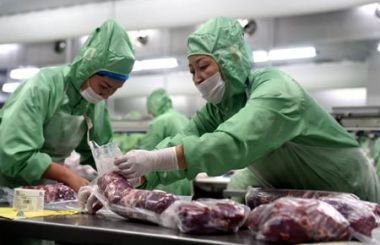 轉(zhuǎn)型升級丨內(nèi)蒙古畜牧業(yè)：從傳統(tǒng)走向現(xiàn)代